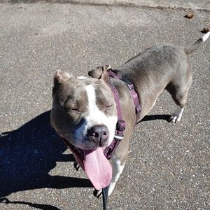 Meet your Posher, Jadyn